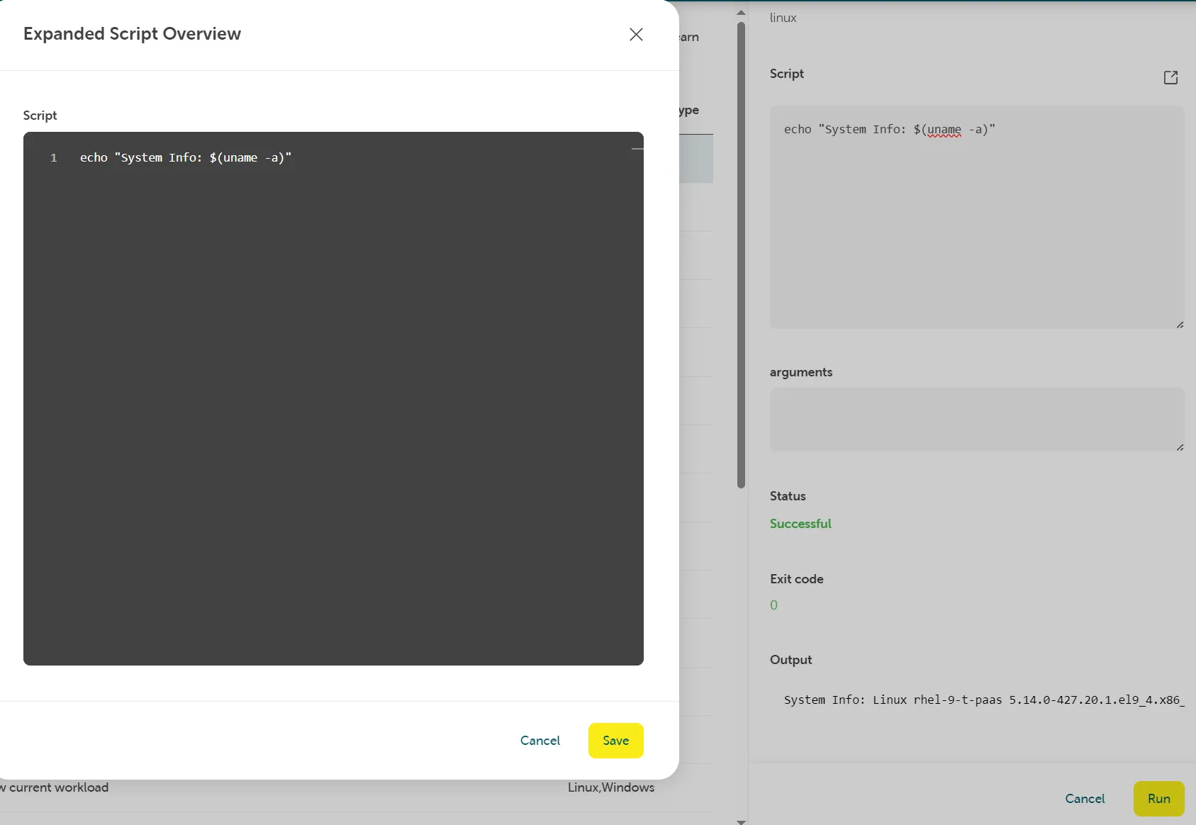 Screenshot of the STACKIT Cloud Portal showing the "Expanded Script Overview" modal window. Inside the dark gray input area, a single-line command "echo 'System Info: $(uname -a)'" is entered. The blurred execution pane in the background on the right shows a "Successful" status and a system information string printed inside the "Output" area.